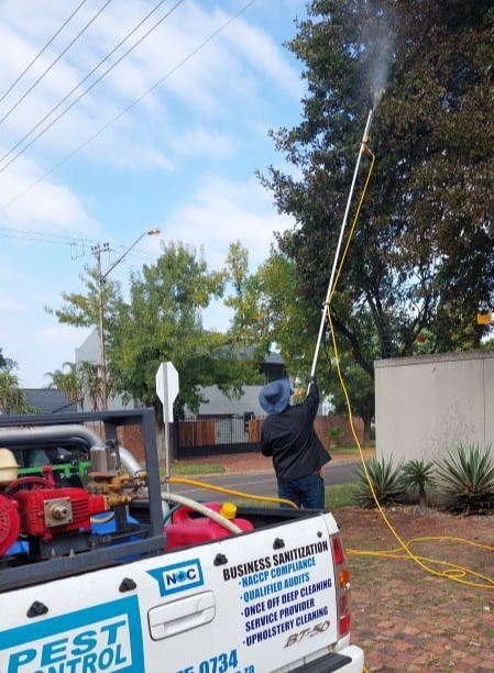 Nocserv Pest Control - Tree treatment