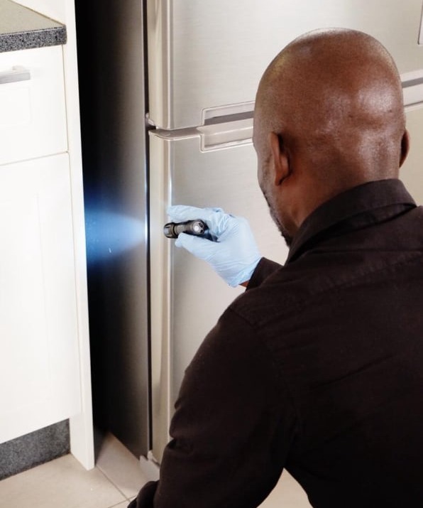 Nocserv Pest Control - Inspection