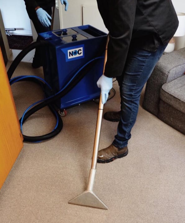 Nocserv Pest Control - Carpet cleaning